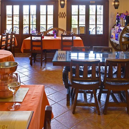 Agriturismo Il Picchio Castions di Strada Exteriér fotografie